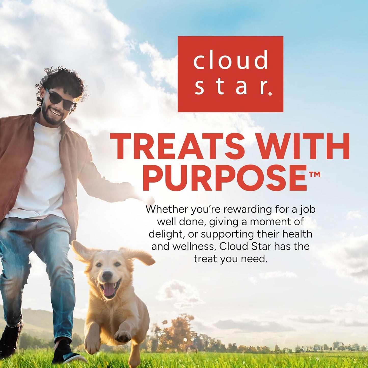 Buddy Biscuits Training Bites for Dogs – Roasted Chicken – 6 oz – Low-Calorie Soft Treats for Puppy & Adult Training