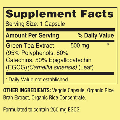 Green Tea Extract Vegetarian Capsules – 500mg, 60 Count