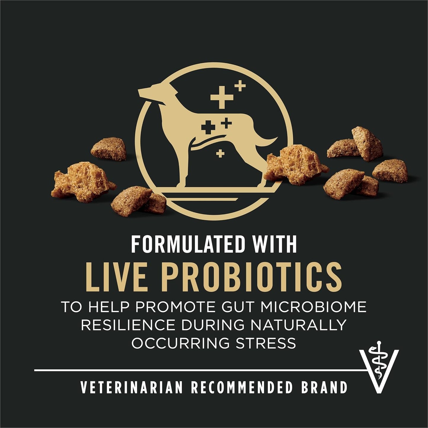 Purina Pro Plan Complete Essentials Shredded Blend Beef & Rice Dry Dog Food – 35 lb Bag