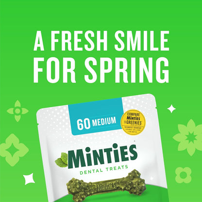 Minties Dental Chews for Dogs – 40 Count – Vet-Recommended Mint-Flavored Treats for Medium Dogs (25–50 lbs)