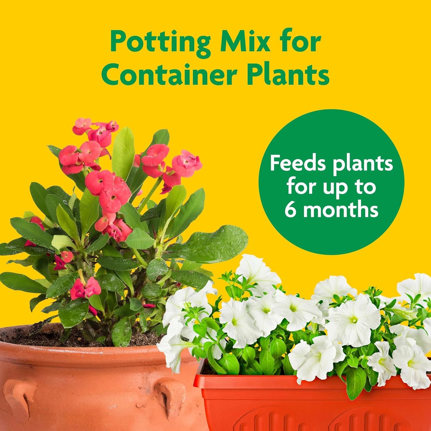 Miracle-Gro Potting Mix – 16 Quart Pack – Nutrient-Rich Soil for Indoor & Outdoor Container Plants