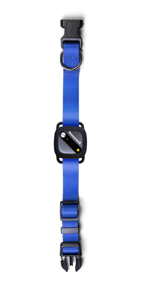 Honeywell Pet Activity Tracker and GPS Location Monitor - Blue One-Size-Fits-All Collar